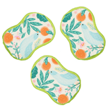 RE:usable Sponges (Set of 3) - MT Partridge Family - Once Again Home Co.